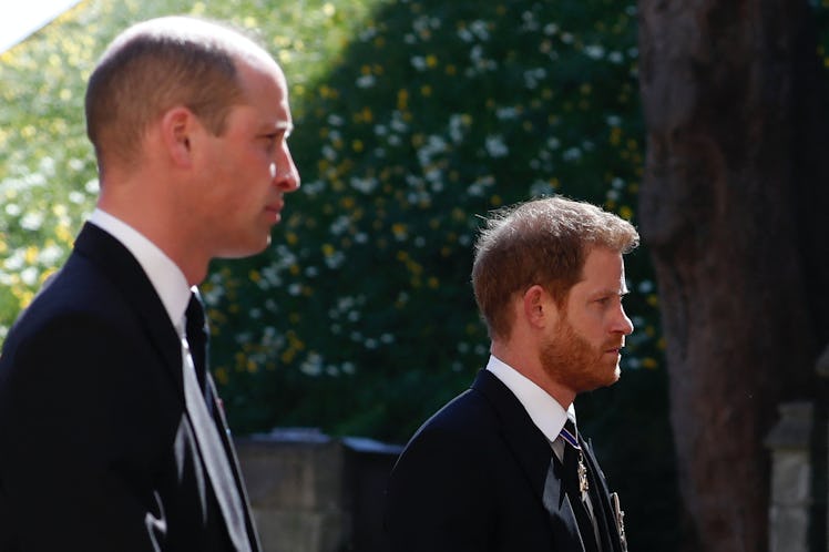 Princes Harry and William reunited at Prince Philip's funeral.