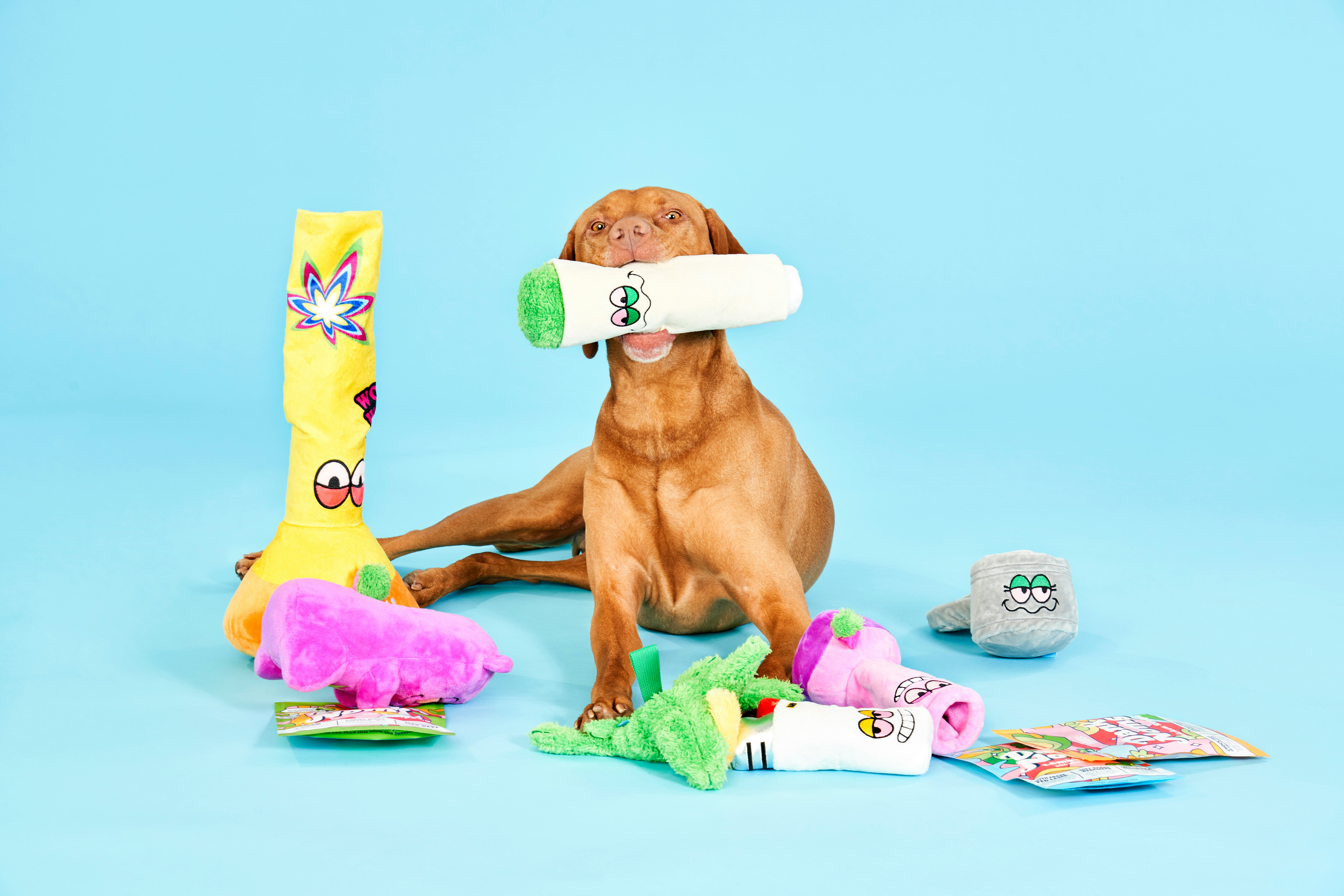 April barkbox clearance