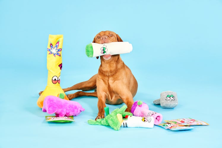 This Bud Hounds BarkBox for April 2021 is filled with weed-themed dog toys.