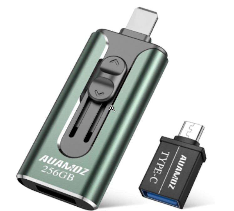 AUAMOZ Memory Flash Drive (256 GB)