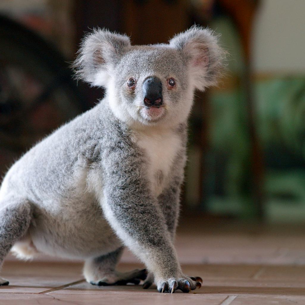 New Movies On Netflix April 9 2021 The 9 Best New Movies New Movies On Netflix April 9 2021 The 9 Best New Movies