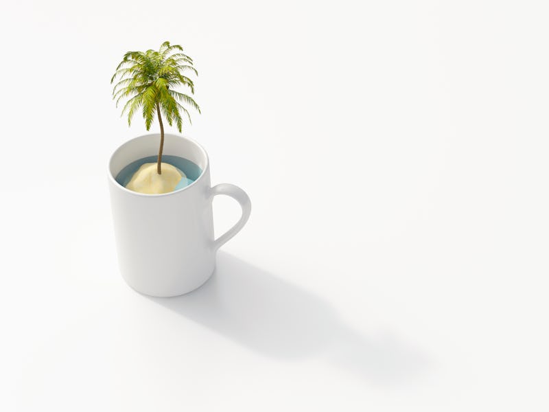 coffee, climate crisis