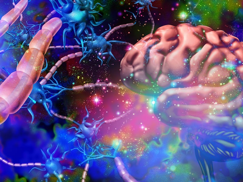 Nervous system neurology and brain nerve cells anatomy concept for psychedelics science