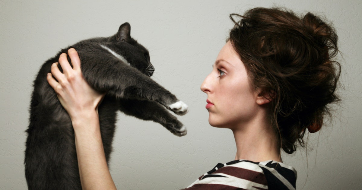 Does my cat love me? Science explains
