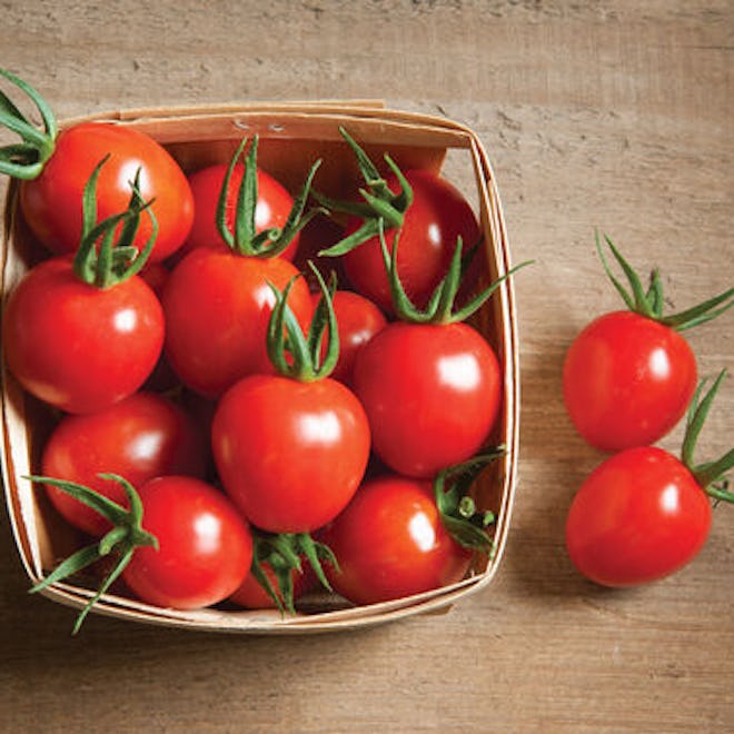 Cherry Bomb Organic Tomatoes
