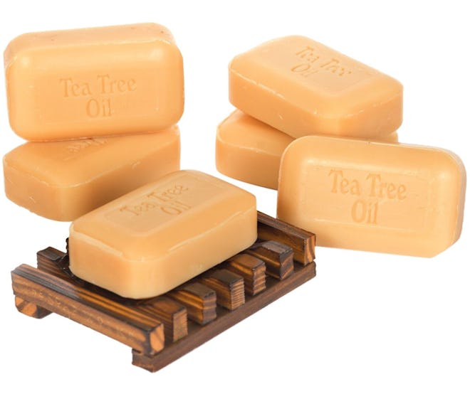 Soap Works Tea Tree Oil Soap (6-Pack)
