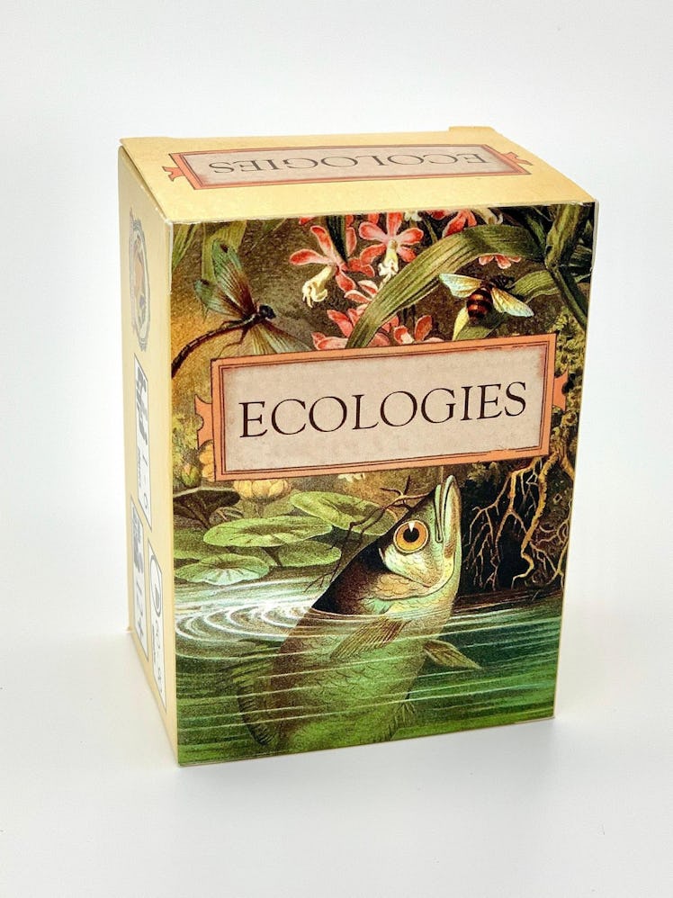 Board game design for Ecologies