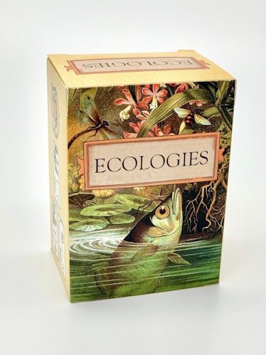 Board game design for Ecologies