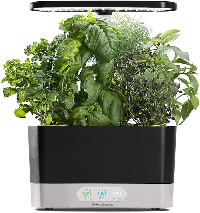 AeroGarden Black Harvest Indoor Hydroponic Garden