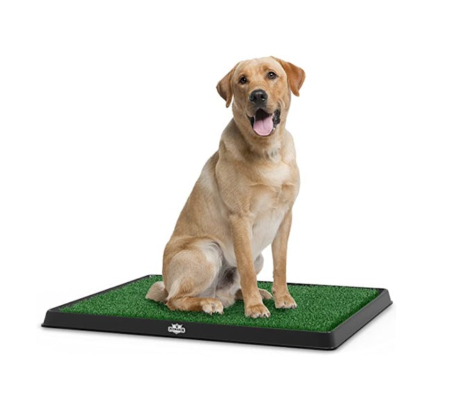 PETMAKER Artificial Grass Puppy Pad