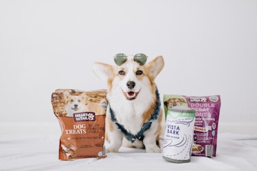 Here's how to enter Aldi's Calling All Paws pet contest for a chance to win a year of pet food and a...