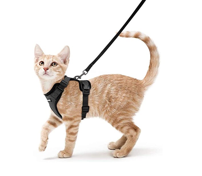 rabbitgoo Cat Harness and Leash