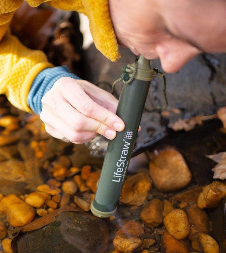 LifeStraw Personal Water Filter