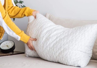 Coop Home Goods Adjustable Loft Pillow