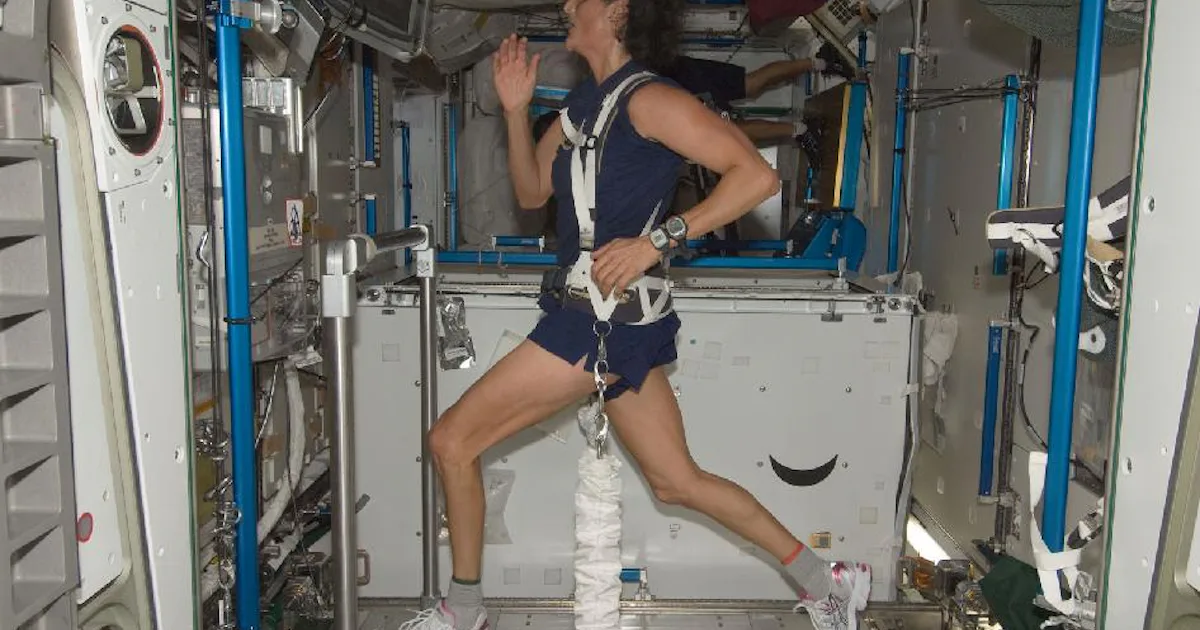 SpaceX: Will you need to exercise like an astronaut on a space tourism ...