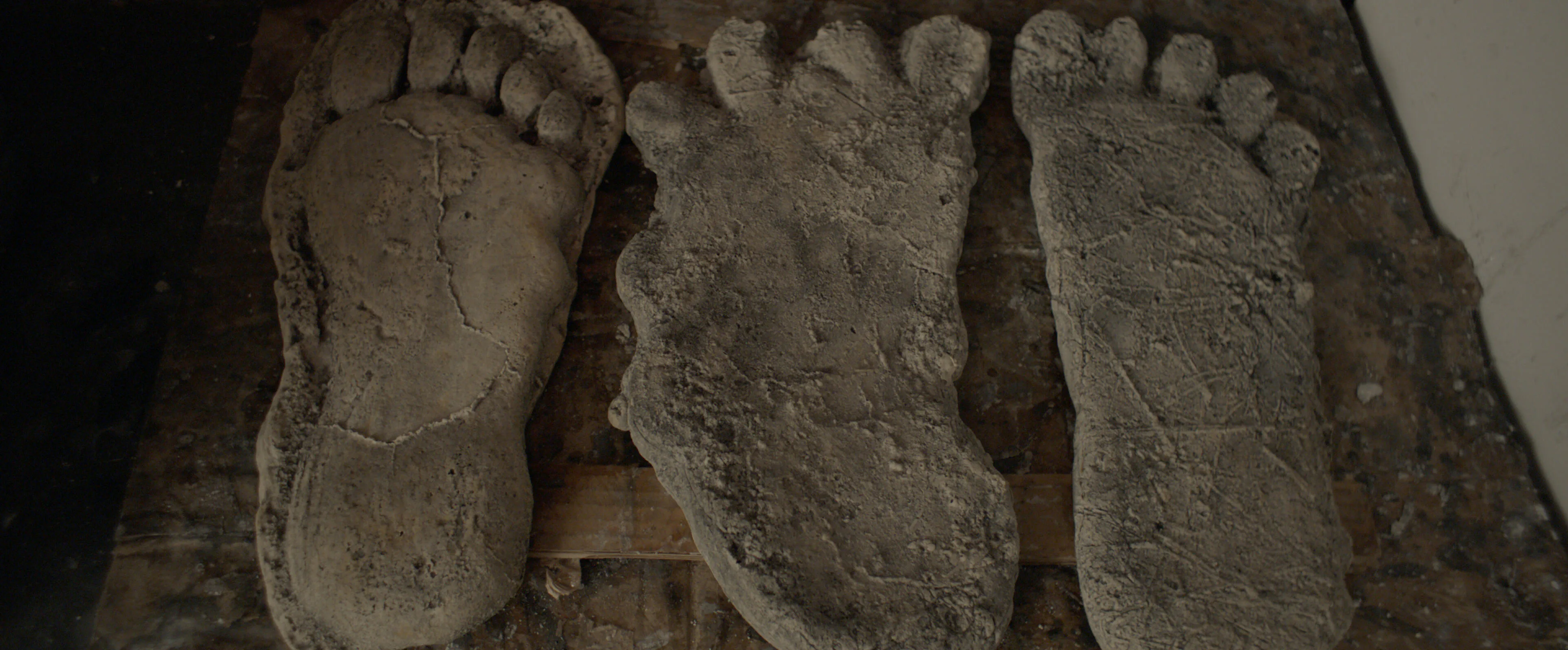 'Sasquatch' Hulu documentary explained: David Holthouse wants to believe