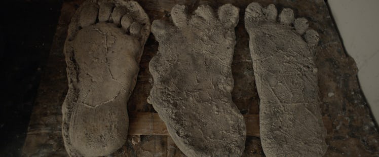 Alleged Bigfoot footprints.