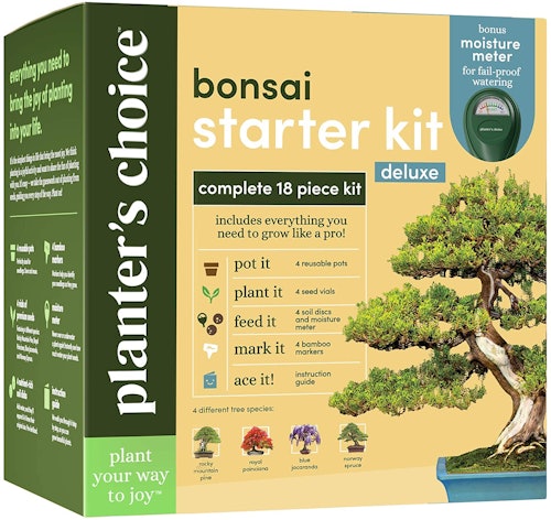 Planter's Choice Bonsai Tree Growing Kit