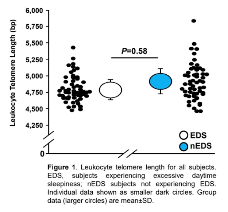 Telomere length results graph longer in no sleepiness