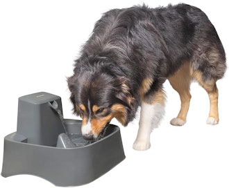 PetSafe Drinkwell 2-Gallon Fountain