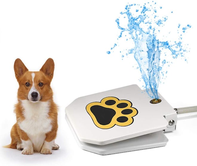 Videosystem Dog Fountain Sprinkler