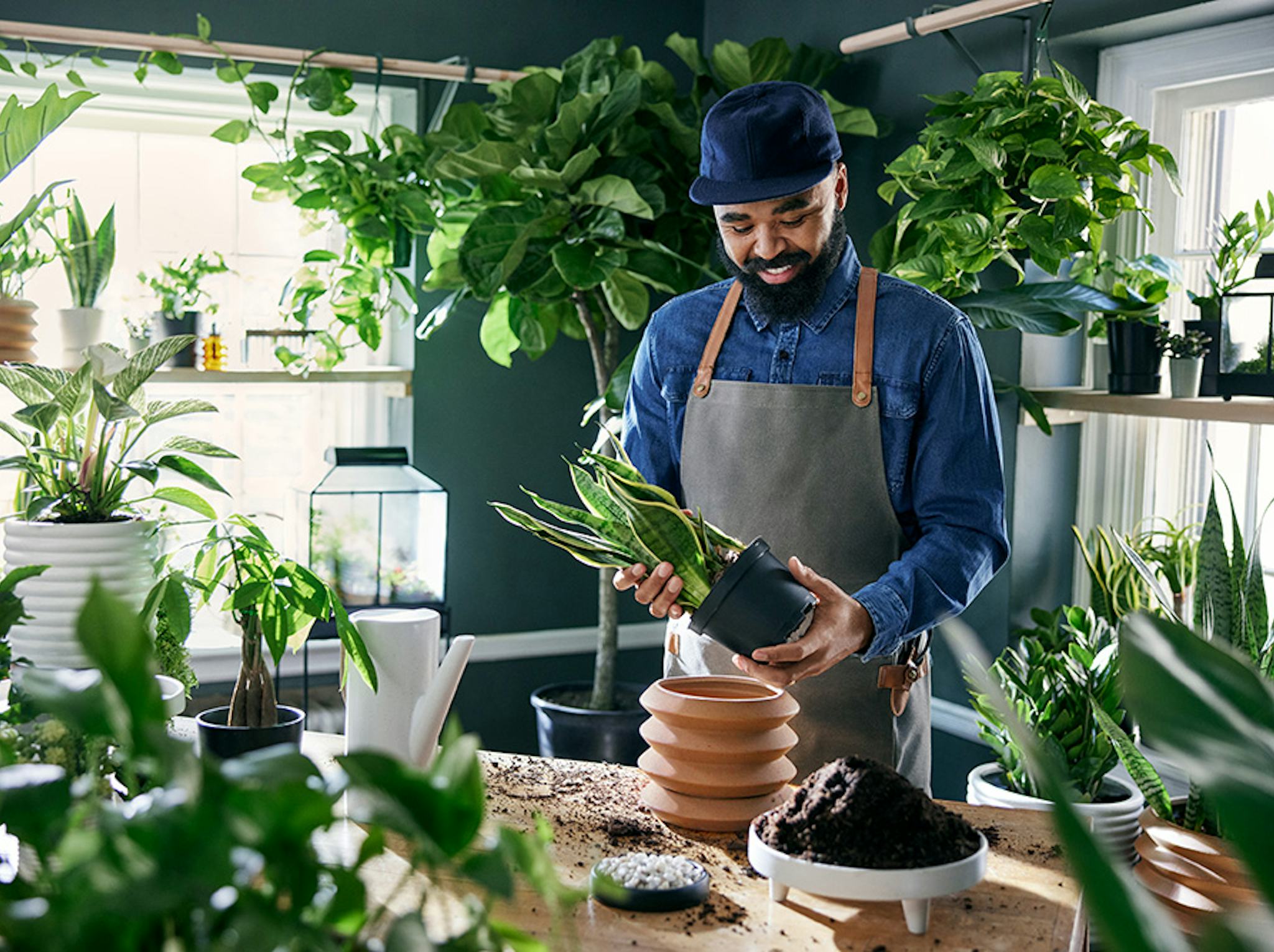 The Hilton Carter x Target Collection Is For Plant Lovers Of Every