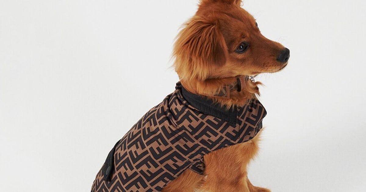 Fendi 犬服 ロゴパターン ブラウンdog Fendi makes your dog look better than you with its luxury