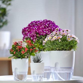 ETGLCOZY Indoor Plant Self Watering Pots (5-Pack)
