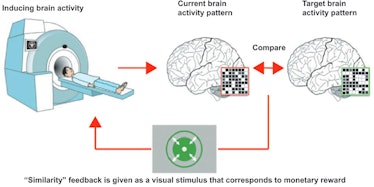 decoded neurfeedback for ptsd brain scan machine learning