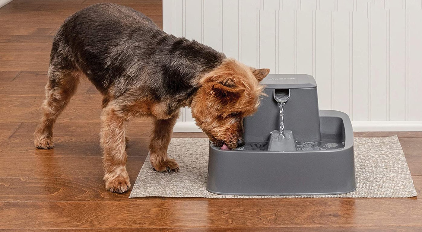 The 4 Best Dog Water Fountains   6022928c 5433 45d9 A5f8 330b0bf6bf8c Best Dog Water Fountains 