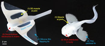 Scientist develop robotic fish to go where no man can go - (Video). 4