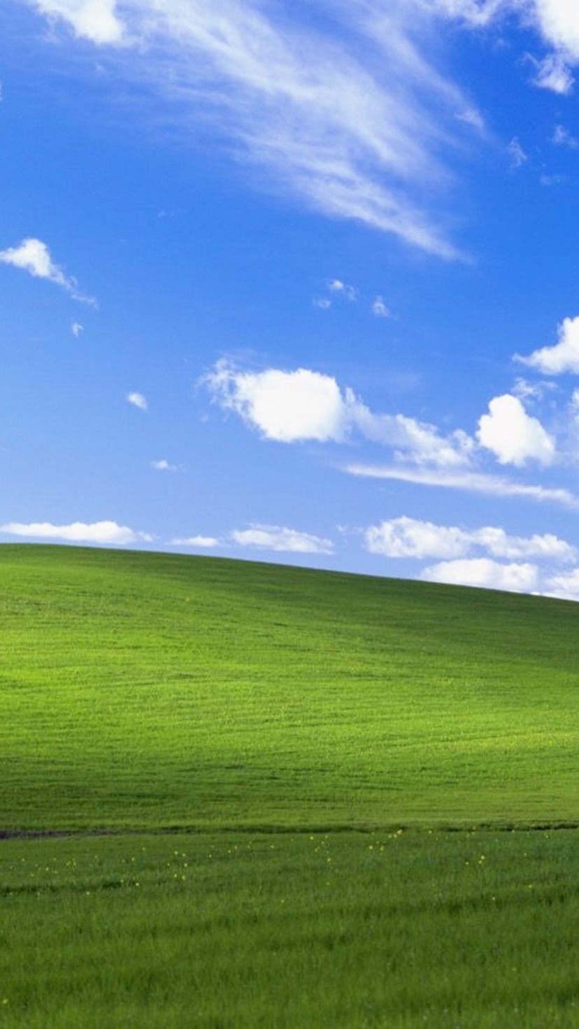 Microsoft's famous Windows XP background wallpaper.