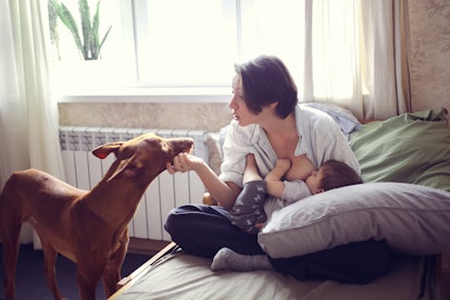 woman petting dog while breastfeeding baby