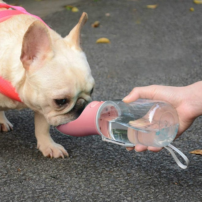 M&MKPET Dog Water Bottle