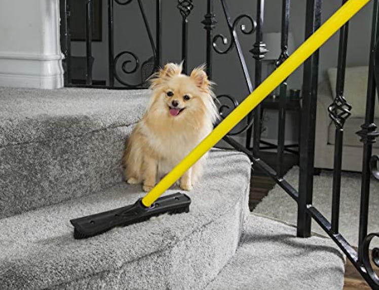 FURemover Pet Hair Removal Broom