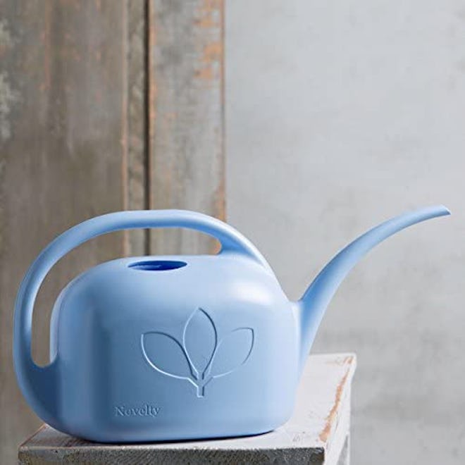 Novelty Indoor Watering Can (128 Oz.)