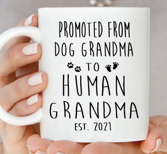 Promoted From Dog Grandma to Human Grandma Mug is a great Mother's Day pregnancy announcement idea