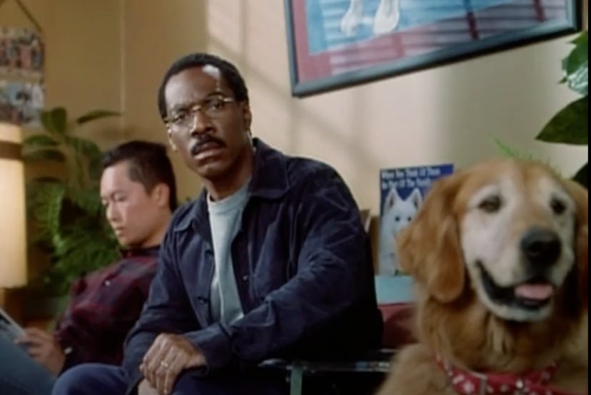 Eddie Murphy stars in Dr. Doolittle as a man with the ability to talk to animals.