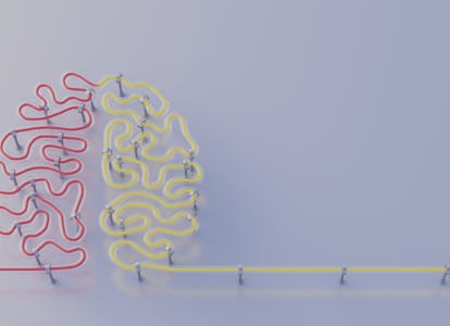 brain