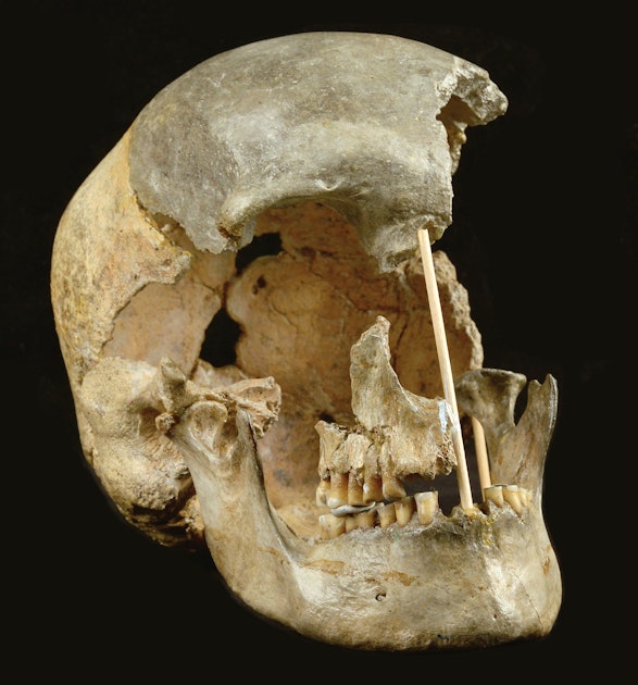 Sex between people and Neanderthals was much more common than was realized
