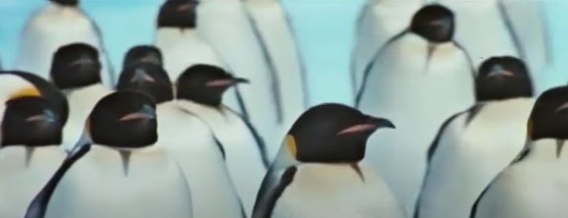 March of the Penguins is a documentary from 2006.