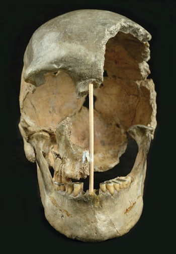 The skull of a modern human female individual from Zlatý kůň.