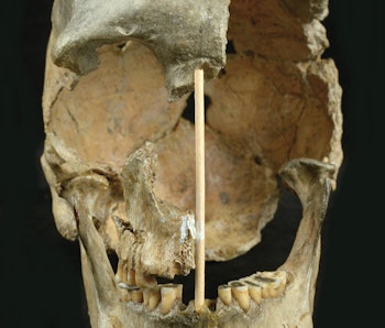 The skull of a modern human female individual from Zlatý kůň.