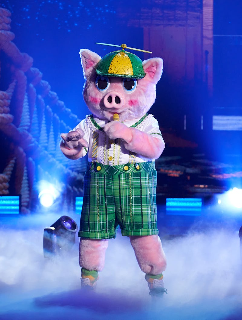 'The Masked Singer' Piglet Theories Revolve Around A Boy Bander