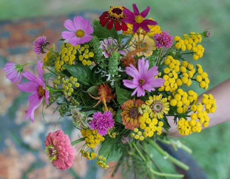 A bouquet of pink and yellow wildflowers.