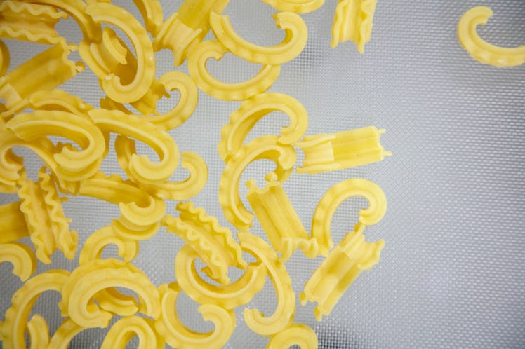 pasta shape production