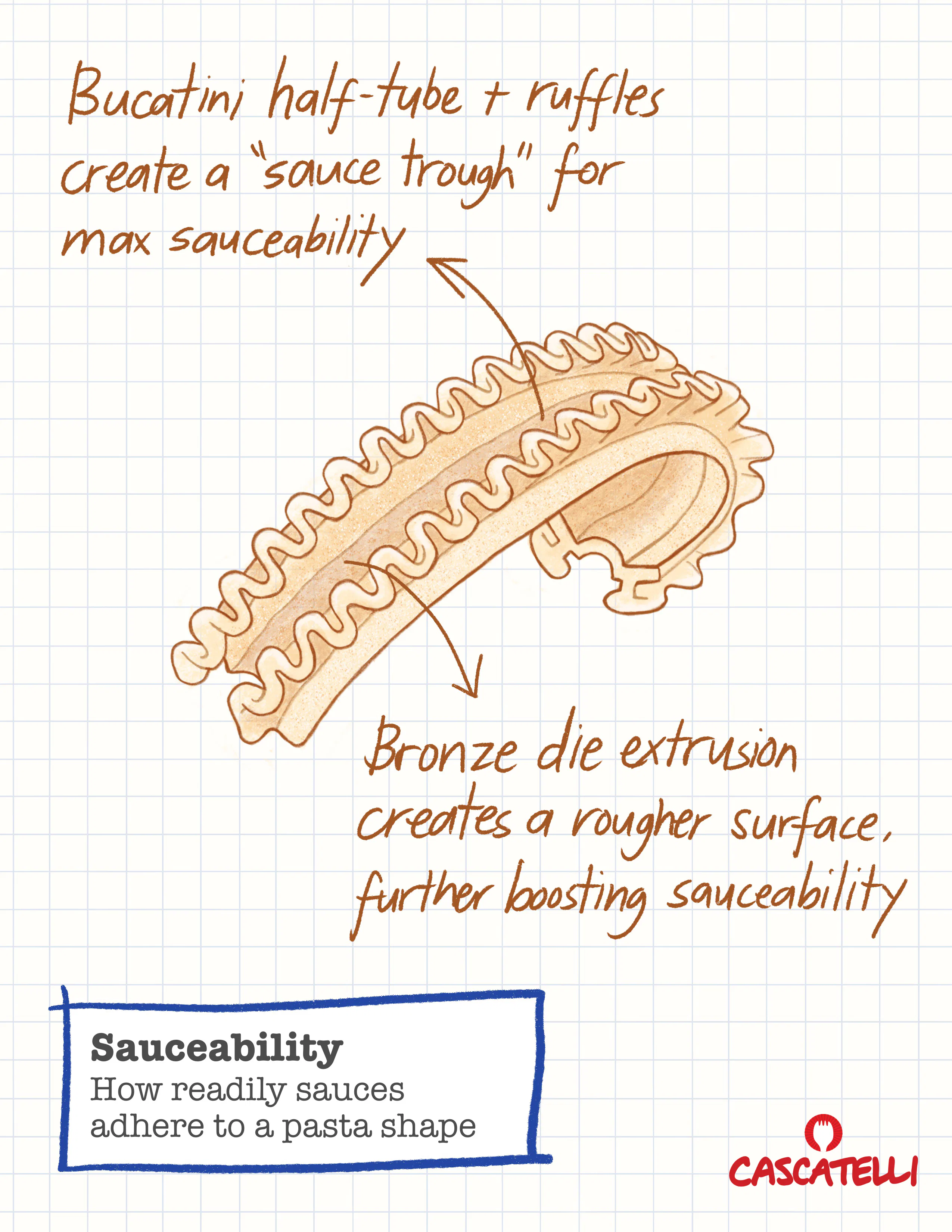 Best pasta shape? Geometry debunks a popular food myth