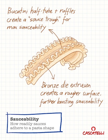 pasta diagram sketch