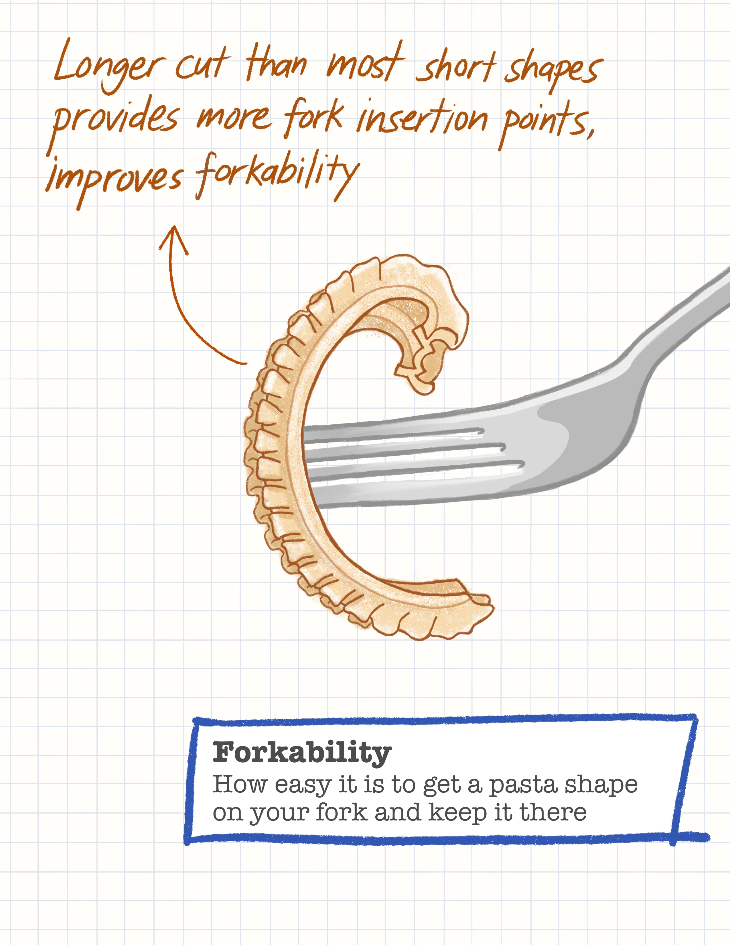 Best pasta shape? Geometry debunks a popular food myth