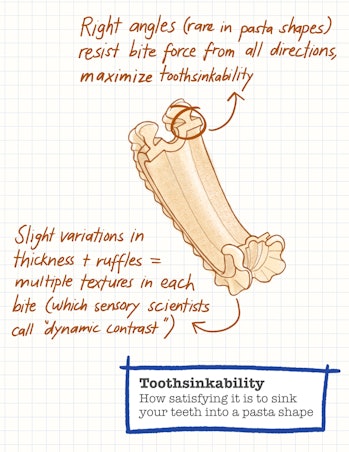 pasta diagram sketch